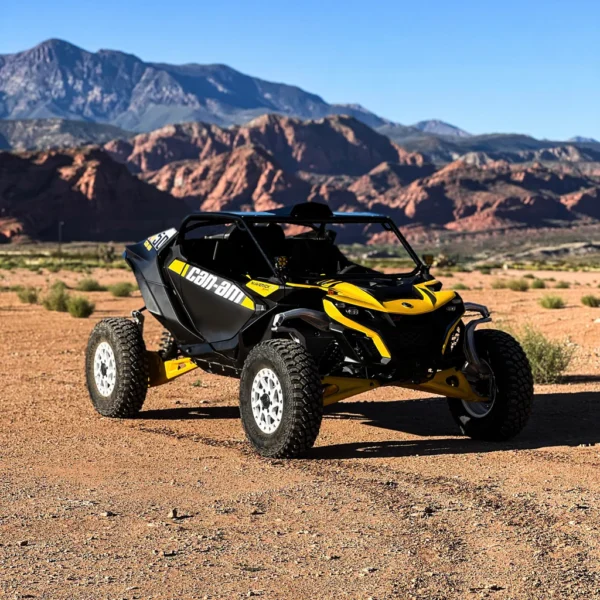Maverick R 2-Seat "Coupe" Roll Cage